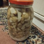 Organik Dünyam — Dijital Magaza — GELENEKSEL TIP