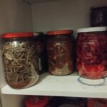 Organik Dünyam — Dijital Magaza — GELENEKSEL TIP